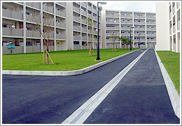 �r�j�X���b�g���a ���[�h���C��